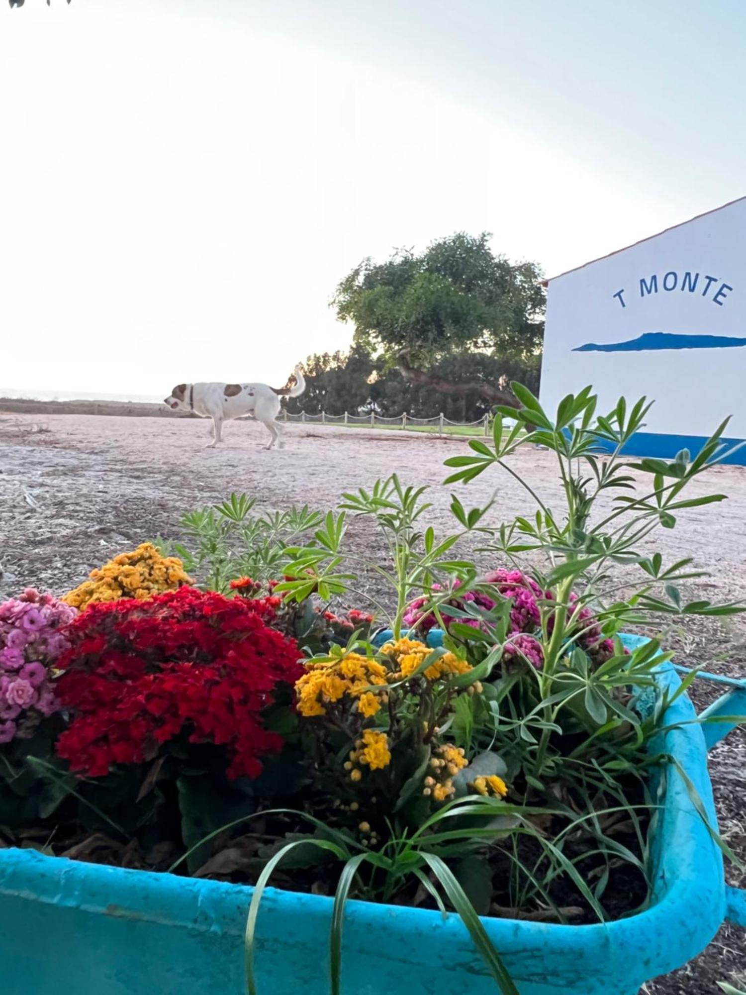 הוילה פורטו קובו T Monte מראה חיצוני תמונה